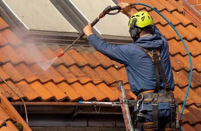 Démoussage et hydrofuge de toiture à Teissières-de-Cornet